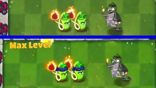 植物人普攻爆料视频,神秘技能曝光，引网友热议  第3张